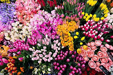 《Fate＆hollow ataraxia》复刻版发行窗口确认 登陆NS和Steam