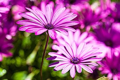 魔物养成动作游戏《魔农传记》现已发售